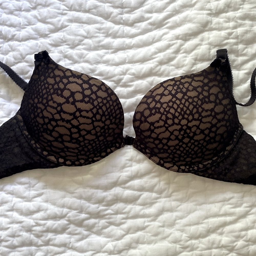 Aerie Scarlet Push Up